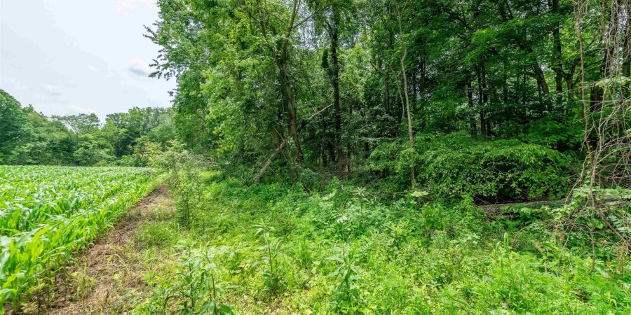 Tract 3 N US Hwy 231, Gosport, Indiana 47460,MLS,202547579