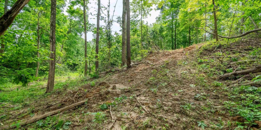 Tract 4 N US Hwy 231, Gosport, Indiana 47460,MLS,202547580