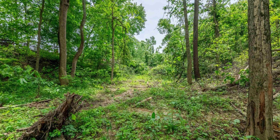 Tract 4 N US Hwy 231, Gosport, Indiana 47460,MLS,202547580