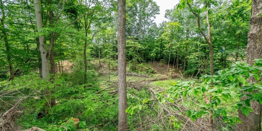 Tract 4 N US Hwy 231, Gosport, Indiana 47460,MLS,202547580