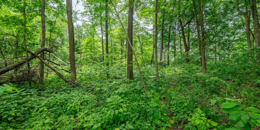 Tract 5 Hudson Hill Road, Gosport, Indiana 47460,MLS,202547581