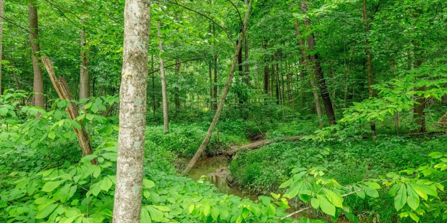 Tract 5 Hudson Hill Road, Gosport, Indiana 47460,MLS,202547581