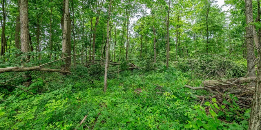 Tract 6 Hudson Hill Road, Gosport, Indiana 47460,MLS,202547582