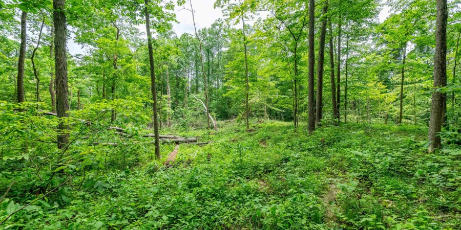 Tract 6 Hudson Hill Road, Gosport, Indiana 47460,MLS,202547582