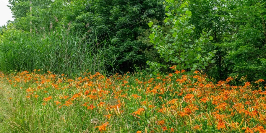 Tract 6 Hudson Hill Road, Gosport, Indiana 47460,MLS,202547582