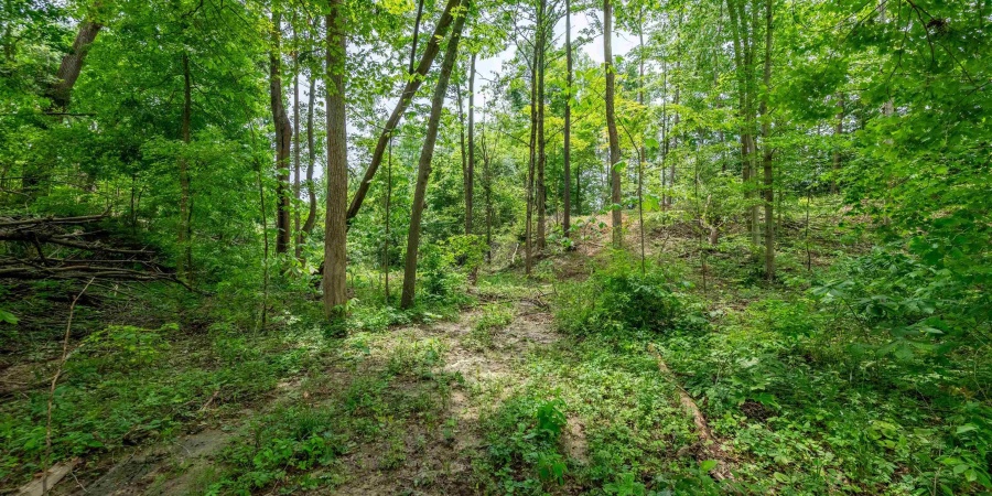 Tract 7 Hudson Hill Road, Gosport, Indiana 47460,MLS,202547583