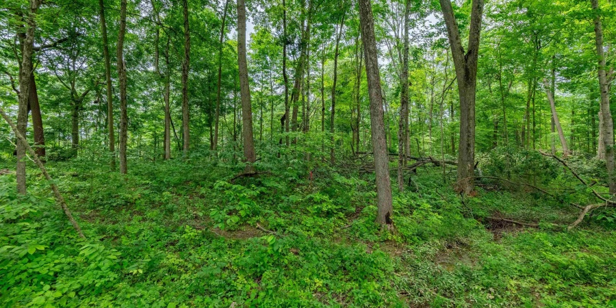 Tract 7 Hudson Hill Road, Gosport, Indiana 47460,MLS,202547583