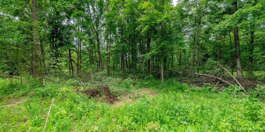 Tract 8 Hudson Hill Road, Gosport, Indiana 47460,MLS,202547584