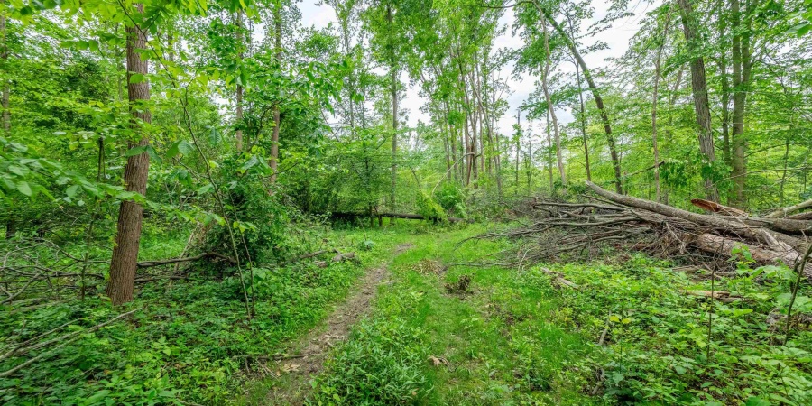 Tract 8 Hudson Hill Road, Gosport, Indiana 47460,MLS,202547584