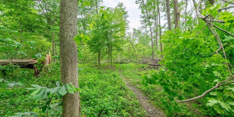 Tract 8 Hudson Hill Road, Gosport, Indiana 47460,MLS,202547584