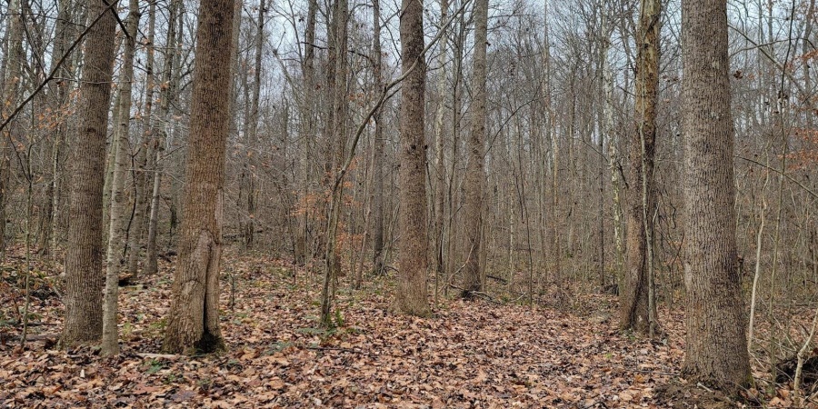 62.2 Acres Blanton Road, Mitchell, Indiana 47446,MLS,202547661