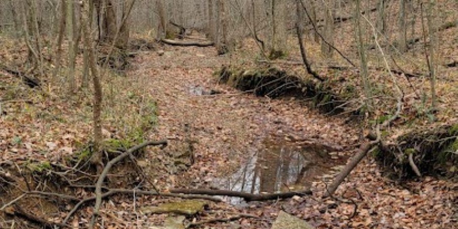 62.2 Acres Blanton Road, Mitchell, Indiana 47446,MLS,202547661