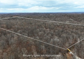 62.2 Acres Blanton Road, Mitchell, Indiana 47446,MLS,202547661