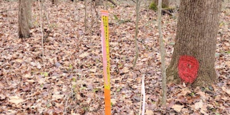 62.2 Acres Blanton Road, Mitchell, Indiana 47446,MLS,202547661