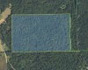 62.2 Acres Blanton Road, Mitchell, Indiana 47446,MLS,202547661