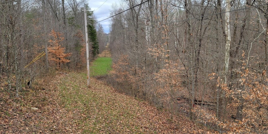 62.2 Acres Blanton Road, Mitchell, Indiana 47446,MLS,202547661