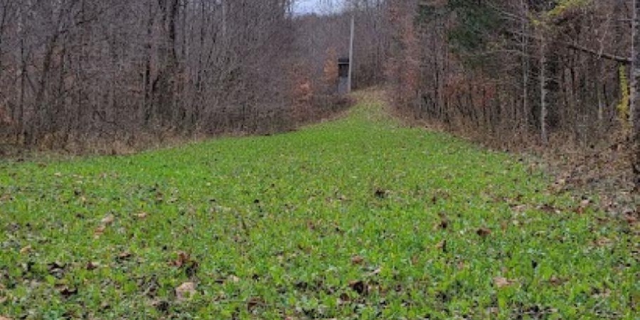 62.2 Acres Blanton Road, Mitchell, Indiana 47446,MLS,202547661