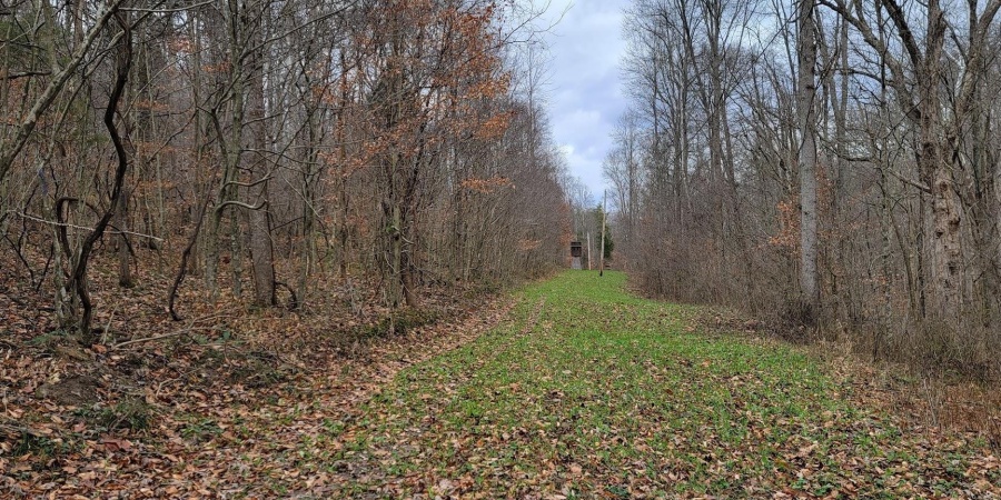 62.2 Acres Blanton Road, Mitchell, Indiana 47446,MLS,202547661