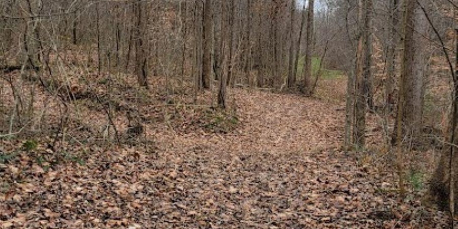 62.2 Acres Blanton Road, Mitchell, Indiana 47446,MLS,202547661