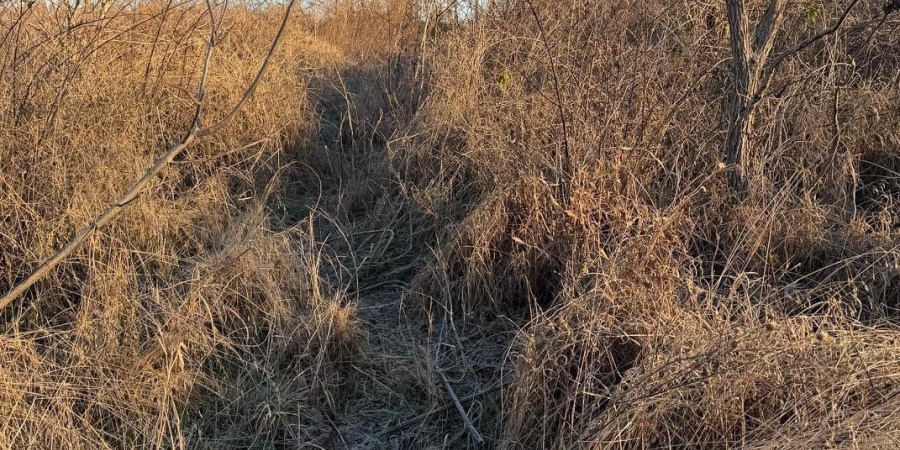 6017 N Old 157 Road, Worthington, Indiana 47471-5132,MLS,202547736