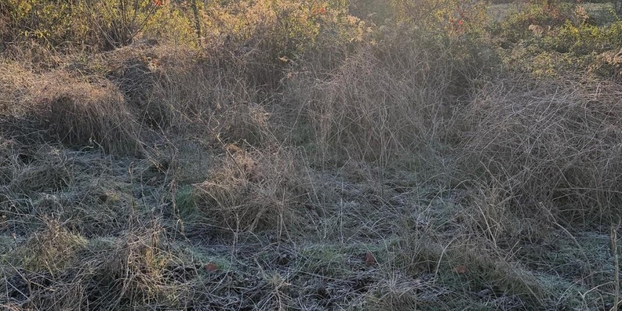 6017 N Old 157 Road, Worthington, Indiana 47471-5132,MLS,202547736