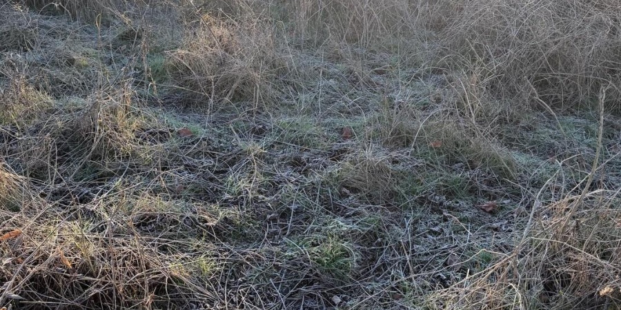 6017 N Old 157 Road, Worthington, Indiana 47471-5132,MLS,202547736