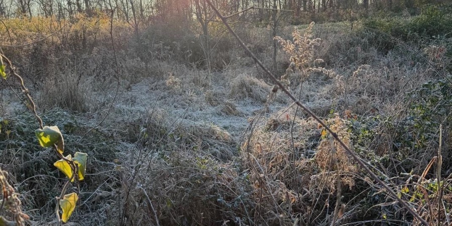 6017 N Old 157 Road, Worthington, Indiana 47471-5132,MLS,202547736