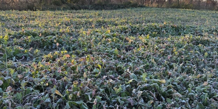 6017 N Old 157 Road, Worthington, Indiana 47471-5132,MLS,202547736