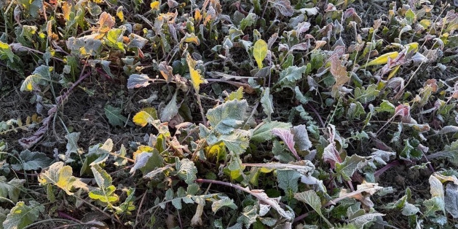 6017 N Old 157 Road, Worthington, Indiana 47471-5132,MLS,202547736