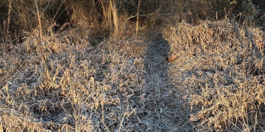 6017 N Old 157 Road, Worthington, Indiana 47471-5132,MLS,202547736