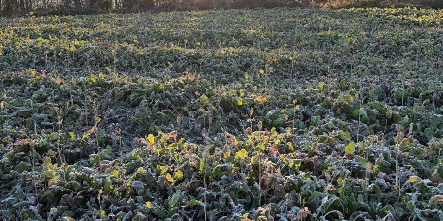 6017 N Old 157 Road, Worthington, Indiana 47471-5132,MLS,202547736