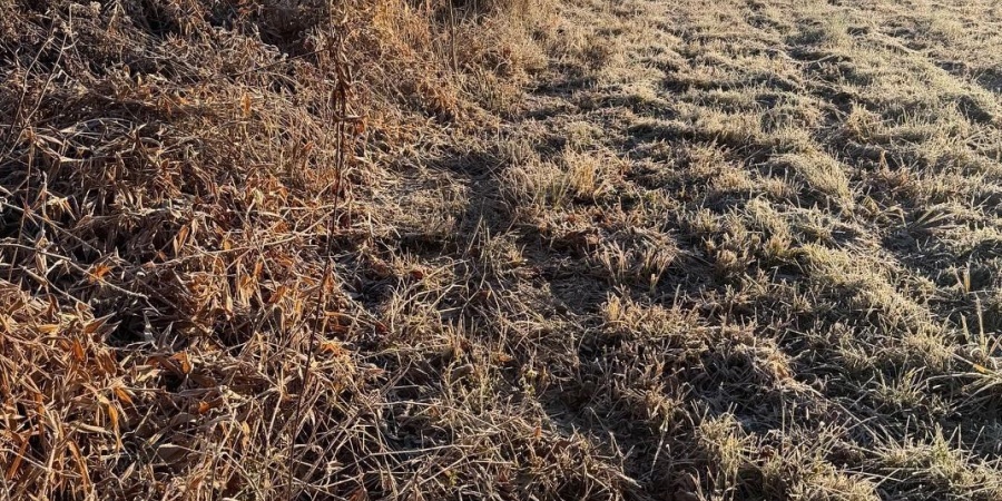 6017 N Old 157 Road, Worthington, Indiana 47471-5132,MLS,202547736