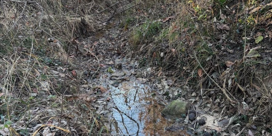 6017 N Old 157 Road, Worthington, Indiana 47471-5132,MLS,202547736