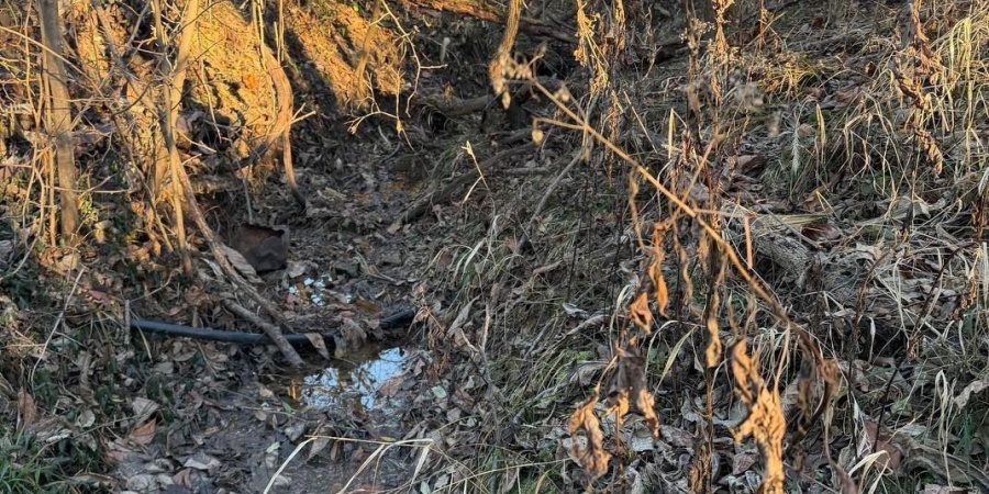 6017 N Old 157 Road, Worthington, Indiana 47471-5132,MLS,202547736