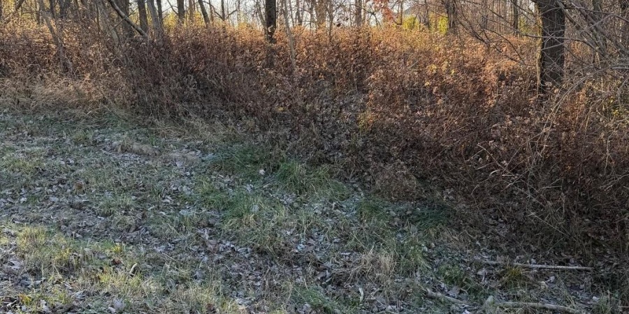 6017 N Old 157 Road, Worthington, Indiana 47471-5132,MLS,202547736