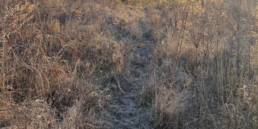 6017 N Old 157 Road, Worthington, Indiana 47471-5132,MLS,202547736