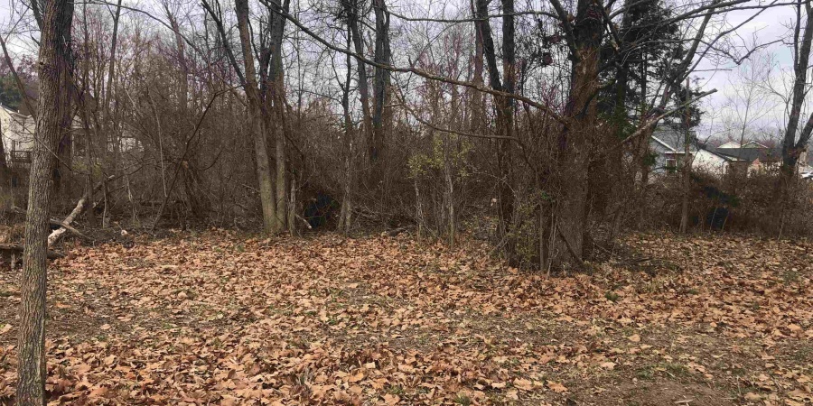 811 N Daisy (lot 90) Drive, Ellettsville, Indiana 47429,MLS,202547744