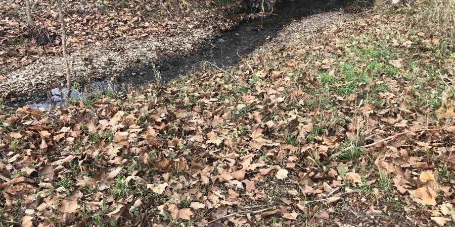 811 N Daisy (lot 90) Drive, Ellettsville, Indiana 47429,MLS,202547744