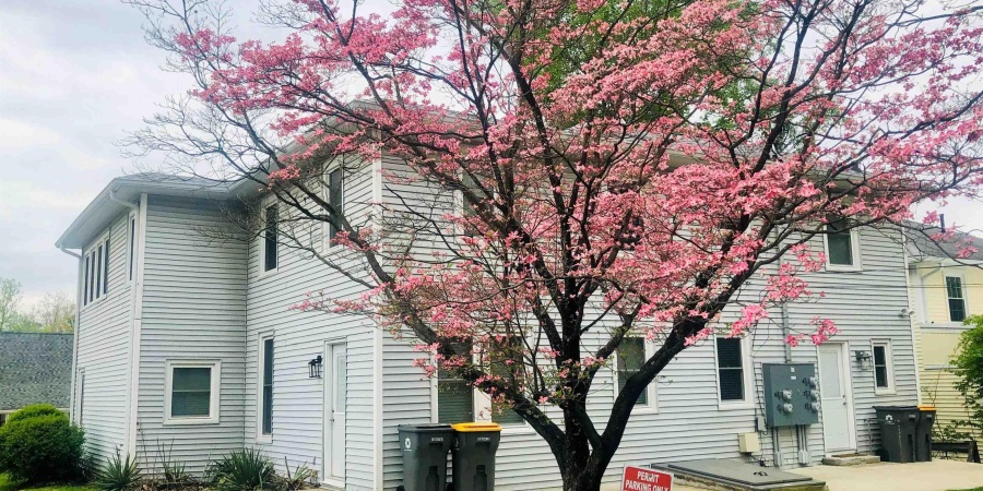 729 E Hunter Avenue, Bloomington, Indiana 47401,MLS,202547818