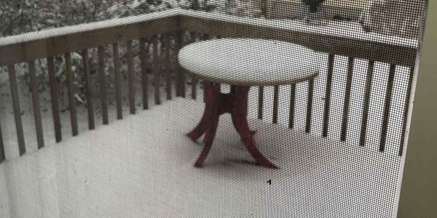 104 S Jefferson Street, Bloomington, Indiana 47408,MLS,202547898