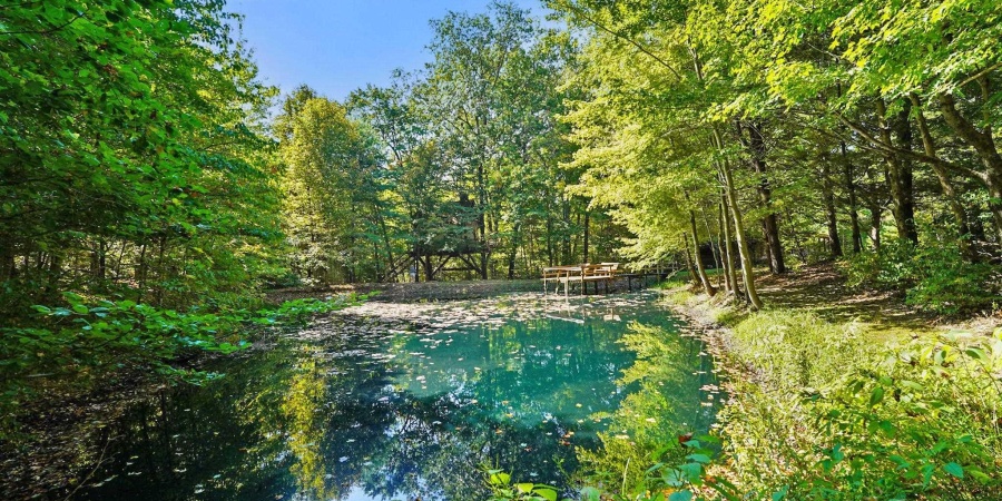 7953 Ford Ridge Rd Road, Nashville, Indiana 46164-8904,MLS,202538414