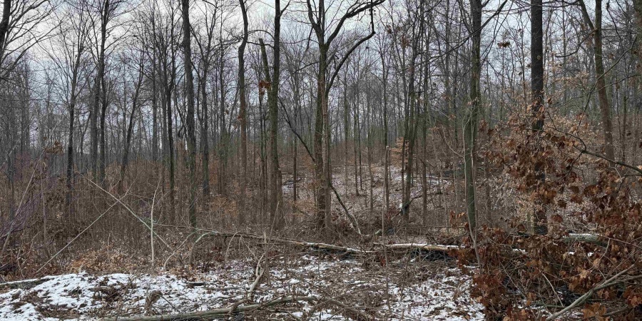 3 W Porter Ridge Road, Spencer, Indiana 47460,MLS,202548005