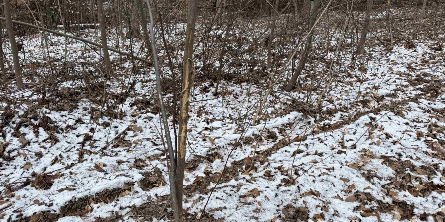 4 W Porter Ridge Road, Spencer, Indiana 47460,MLS,202548006