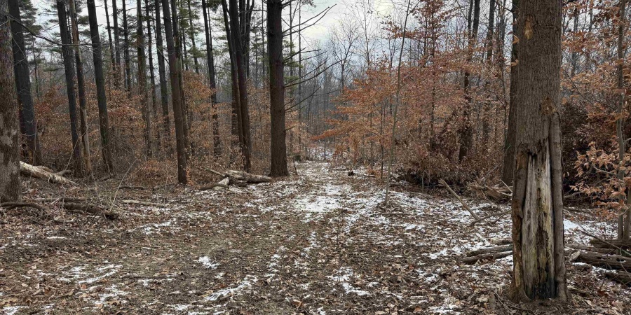 5 W Porter Ridge Road, Spencer, Indiana 47460,MLS,202548007