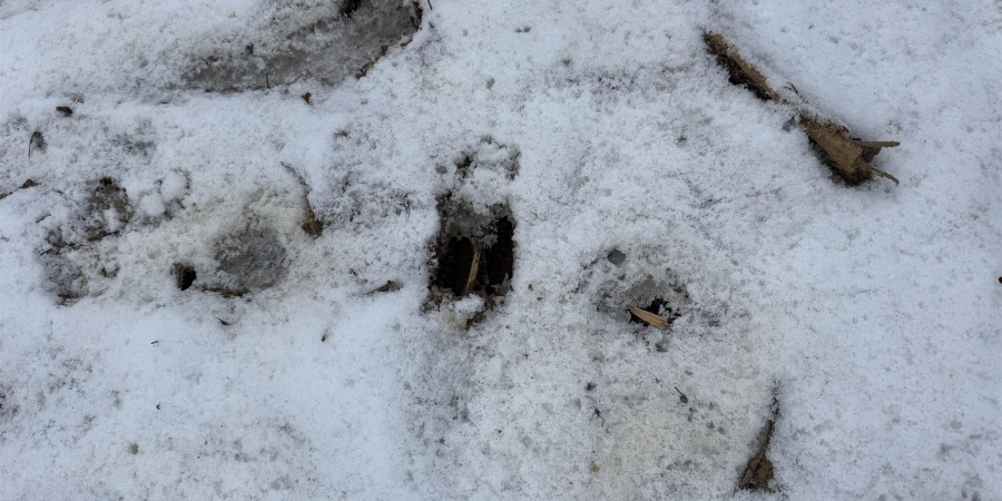 9 W Porter Ridge Road, Spencer, Indiana 47460,MLS,202548014