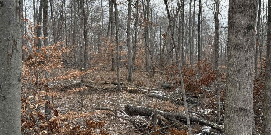 9 W Porter Ridge Road, Spencer, Indiana 47460,MLS,202548014