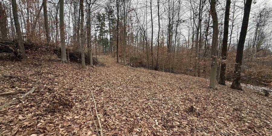 11 W Porter Ridge Road, Spencer, Indiana 47460,MLS,202548026