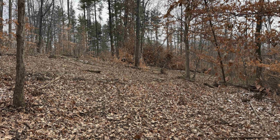 11 W Porter Ridge Road, Spencer, Indiana 47460,MLS,202548026