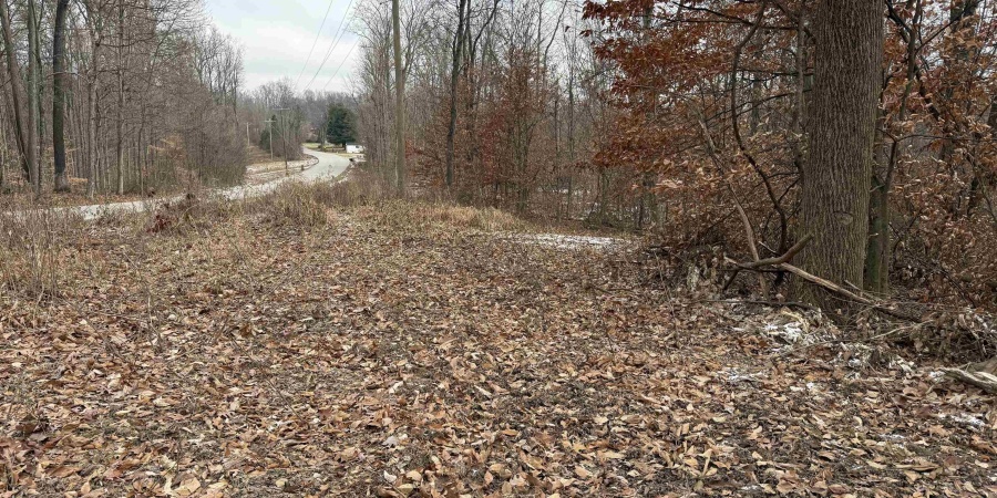 11 W Porter Ridge Road, Spencer, Indiana 47460,MLS,202548026