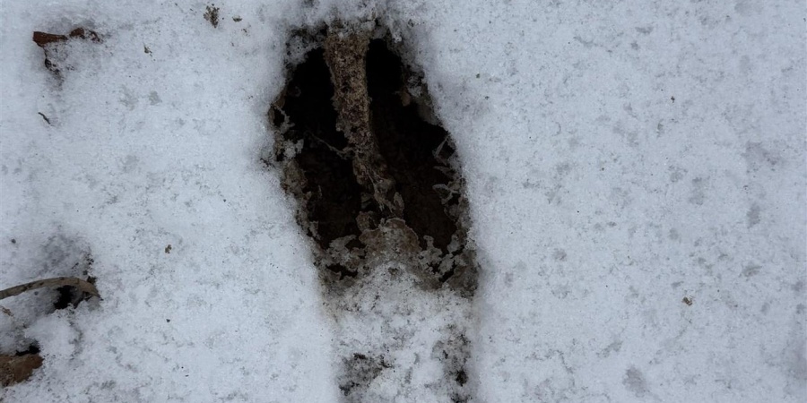 12 W Porter Ridge Road, Spencer, Indiana 47460,MLS,202548029